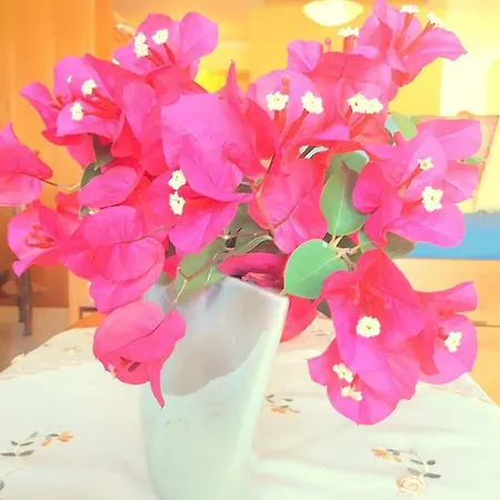 Thin Alos Ferienhaus *